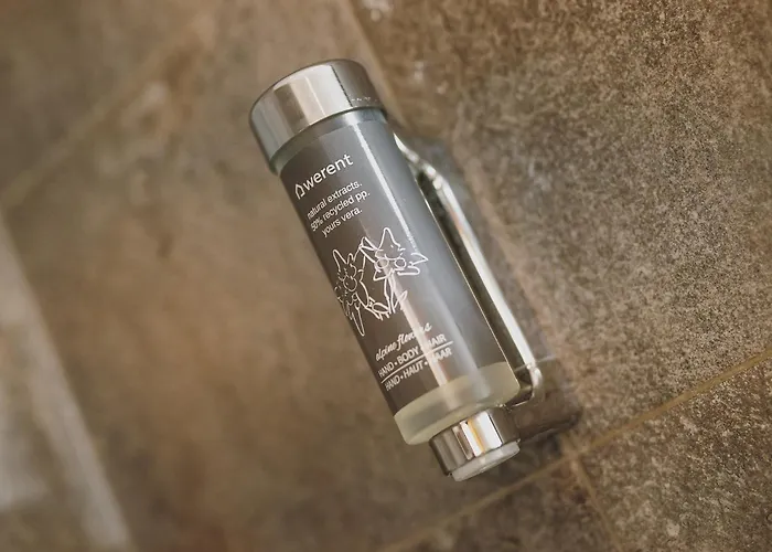 First In Mountain By We Rent Alpehytte